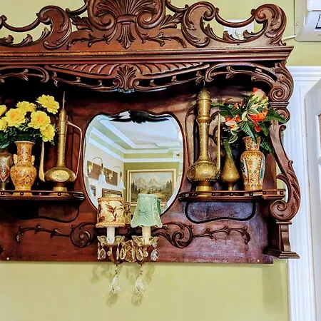 Vintage Bossanova Split